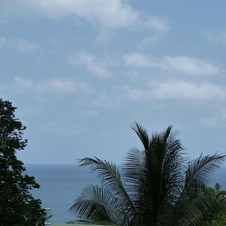 Les Hauts De Deshaies Ngoại thất bức ảnh