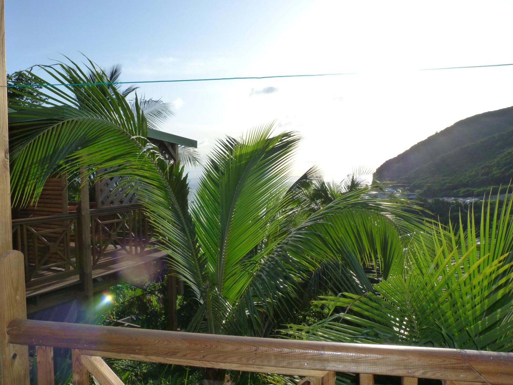 Les Hauts De Deshaies Ngoại thất bức ảnh